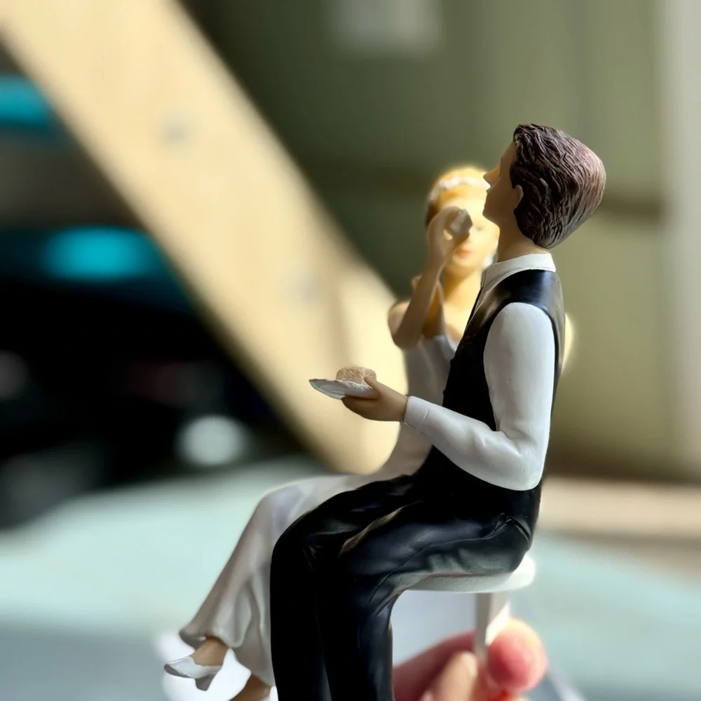 Bride and Groom Cake Topper